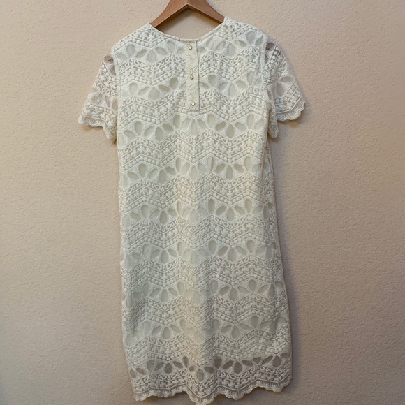 Zara Beige Cream Lace Short Sleeve Dress Small - Picture 5 of 8